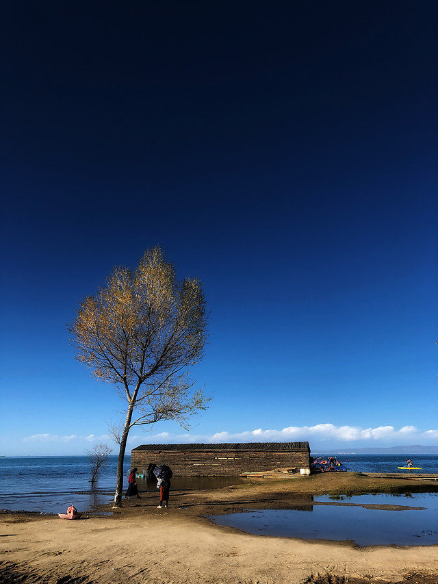 sky-water-nature-tree-sea 图片素材