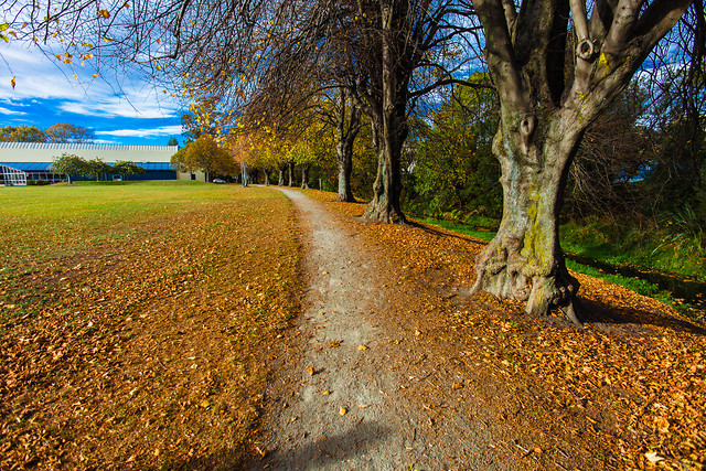 autumn-nostalgia picture material