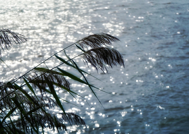 water-sea-sky-ocean-nature 图片素材