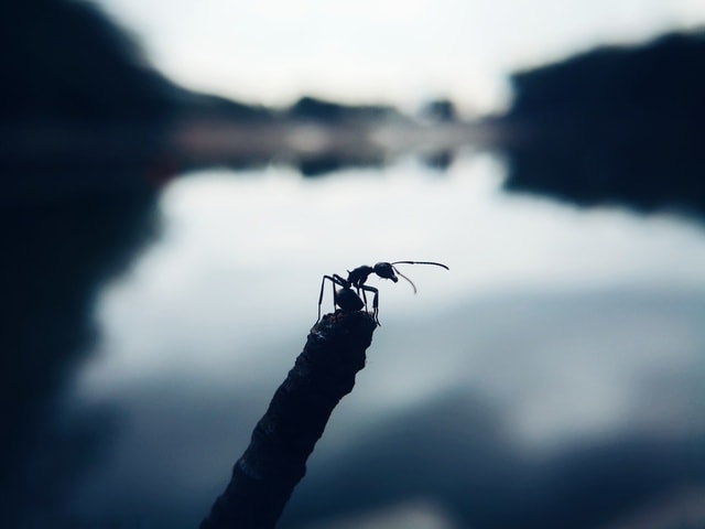 water-sky-sea-nature-outdoors 图片素材