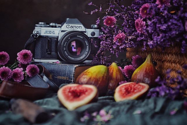 flower-still-life-no-person-nature-food 图片素材