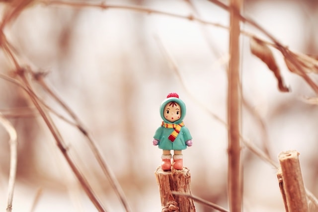 no-person-blur-wood-nature-christmas 图片素材