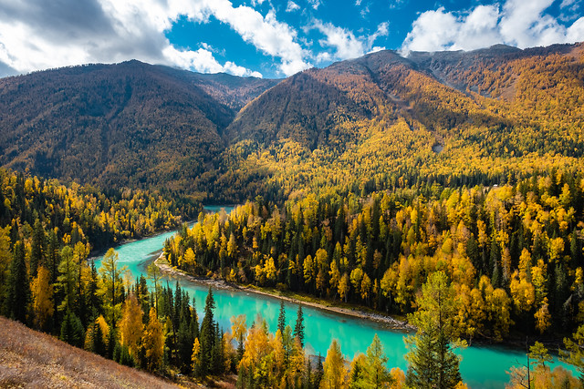 nature-mountain-water-leaf-lake 图片素材