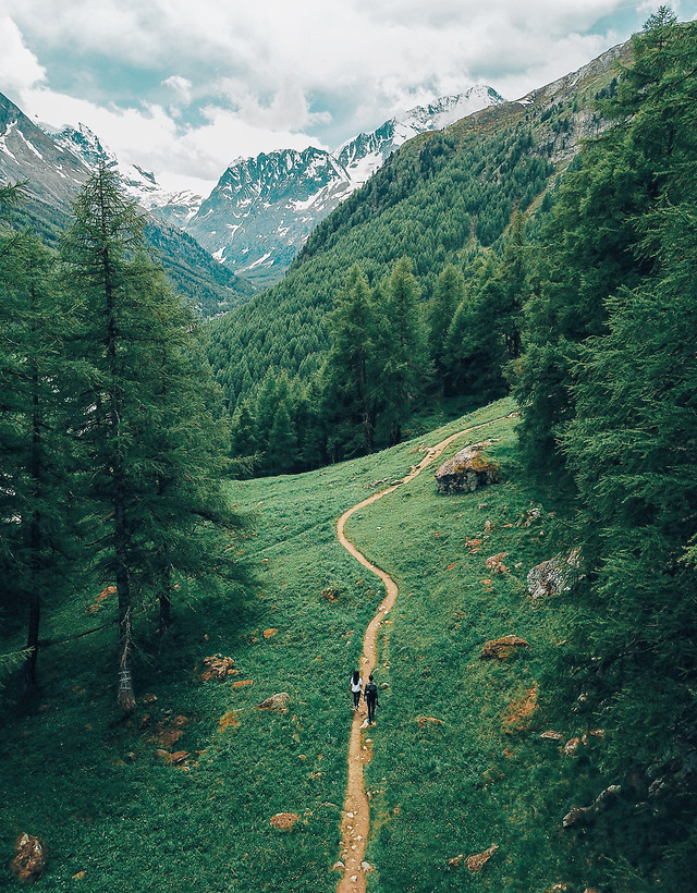 nature-mountain-tree-valley-road picture material