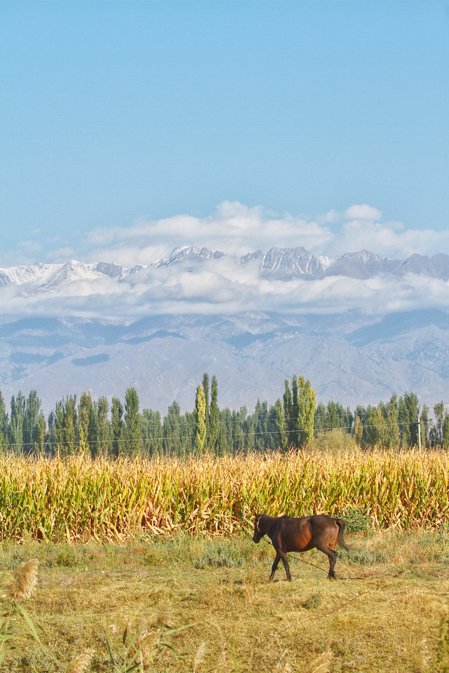 autumn-landscape 图片素材