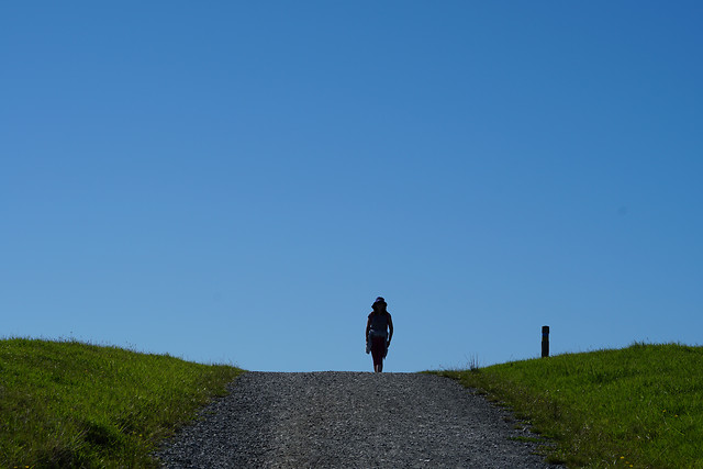 sky-grass-road-hill-tree picture material