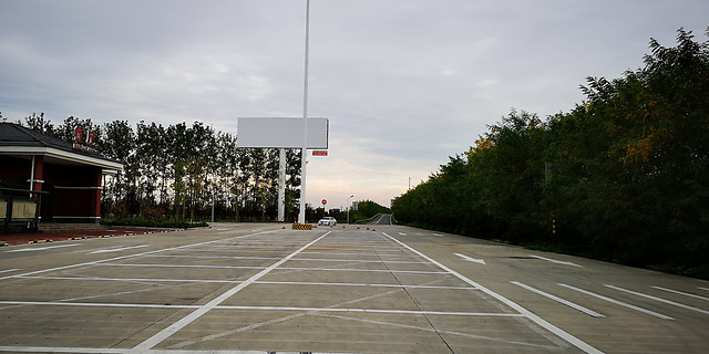 road-asphalt-sky-tree-car picture material