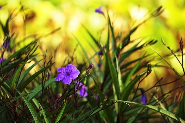 autumn-color 图片素材