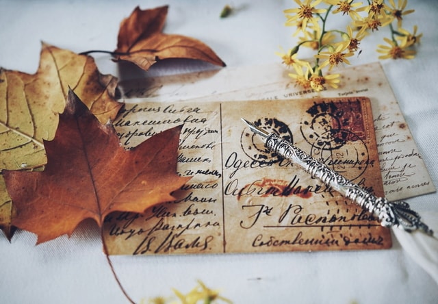 leaf-paper-fall-no-person-old picture material