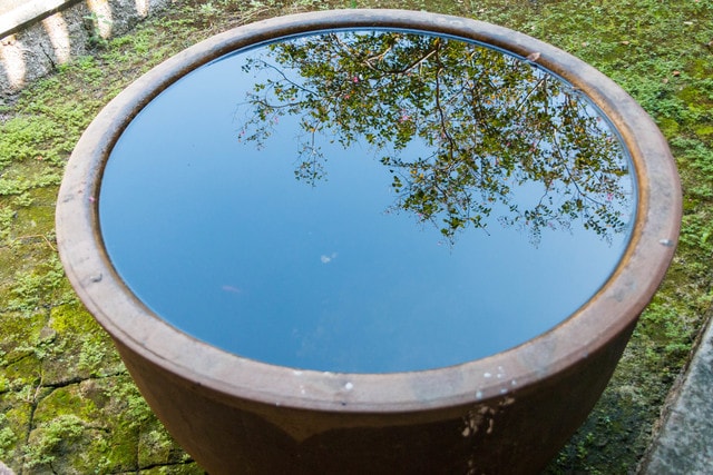 water-tree-grass-no-person-summer 图片素材