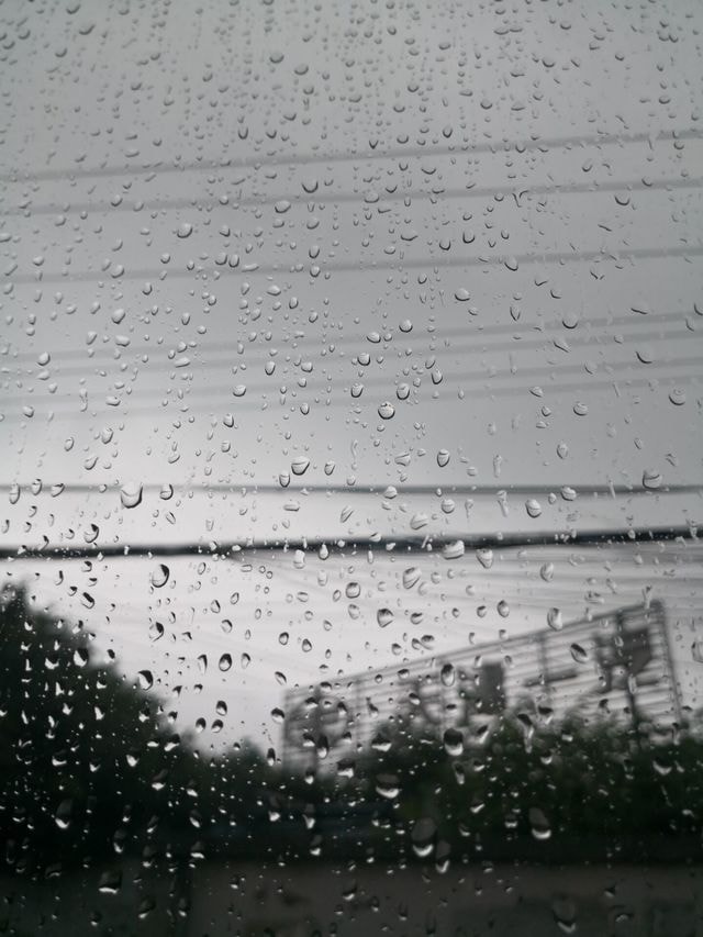 rain picture material