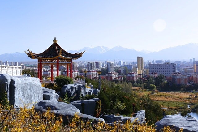 city-sky-tree-tourism-landscape picture material