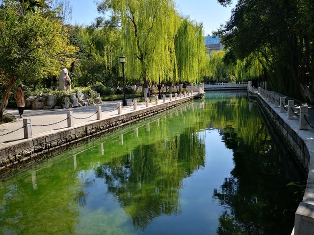 water-reflection-tree-canal-river 图片素材