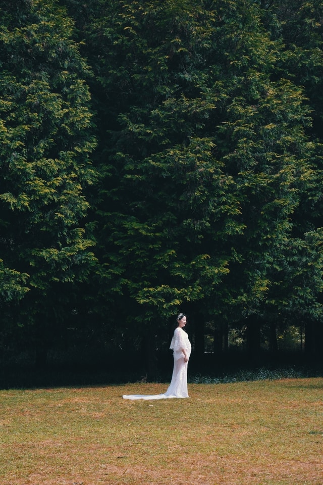 tree-nature-grass-landscape-recreation 图片素材