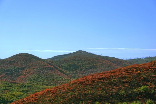 autumn-color 图片素材