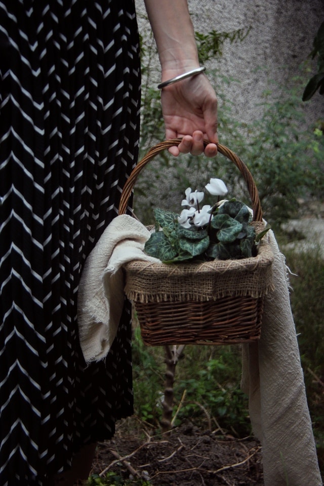 tree-people-basket-one-wood 图片素材