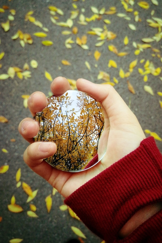 hand-nature-no-person-outdoors-food picture material