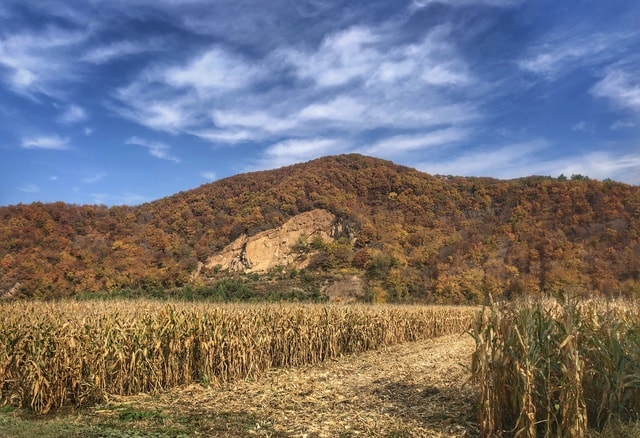 sky-field-hill-agriculture-crop picture material