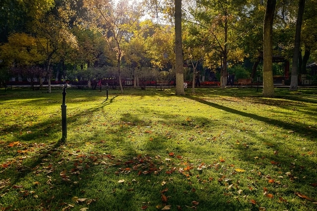 autumn-is-here 图片素材