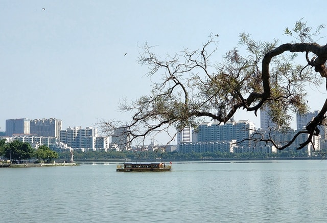 water-tree-river-sky-lake picture material