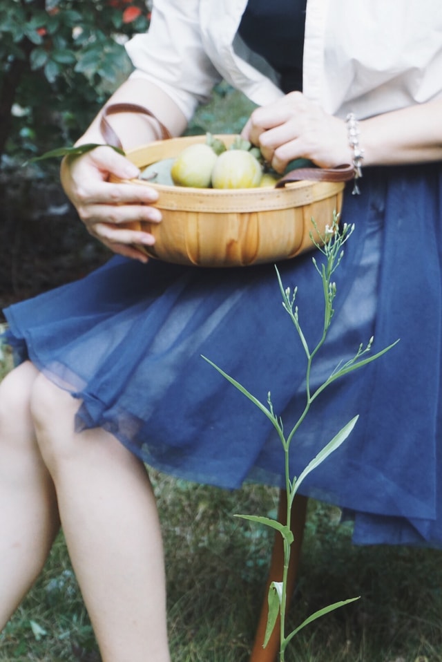 grass-summer-hand-autumn-people picture material