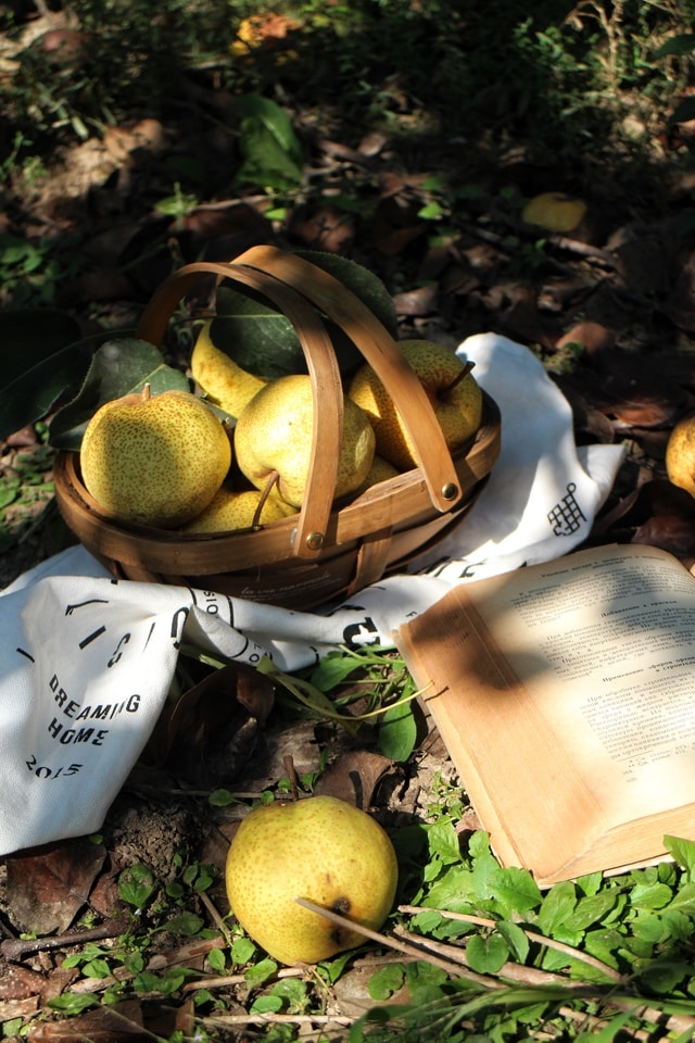 fruit-food-still-life-vegetable-no-person 图片素材