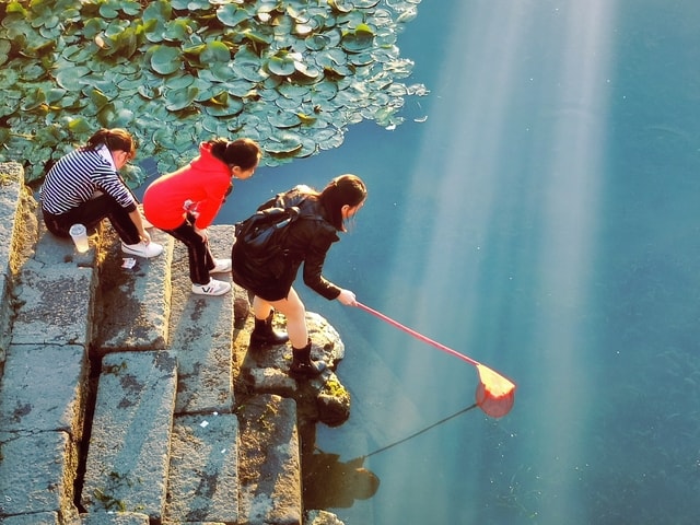 water-fun-recreation-people-adult 图片素材