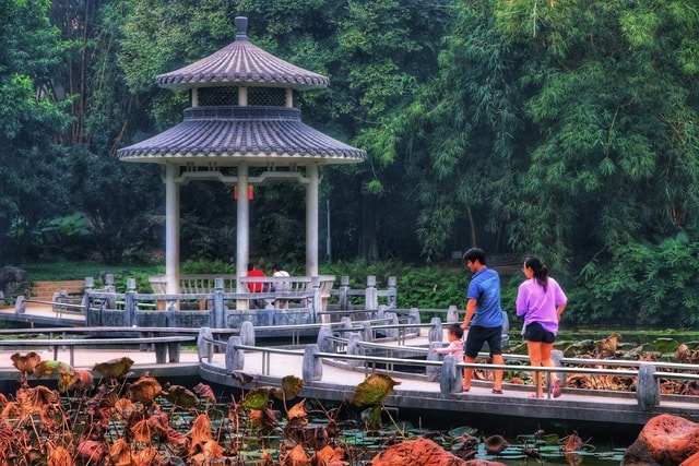 tourism-tree-garden-water-autumn 图片素材