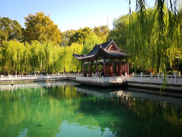 water-reflection-nature-tree-lake 图片素材