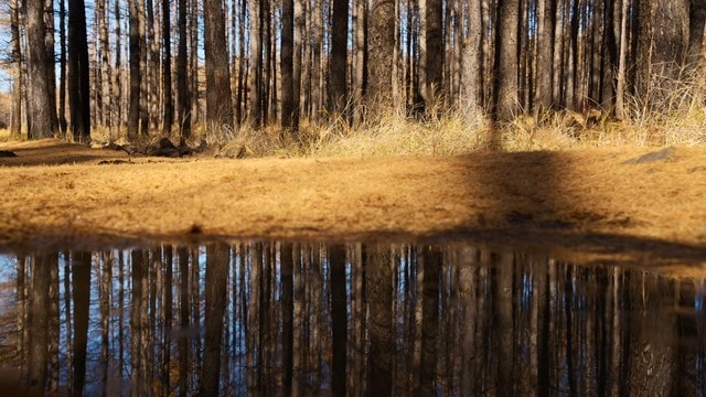 reflection 图片素材