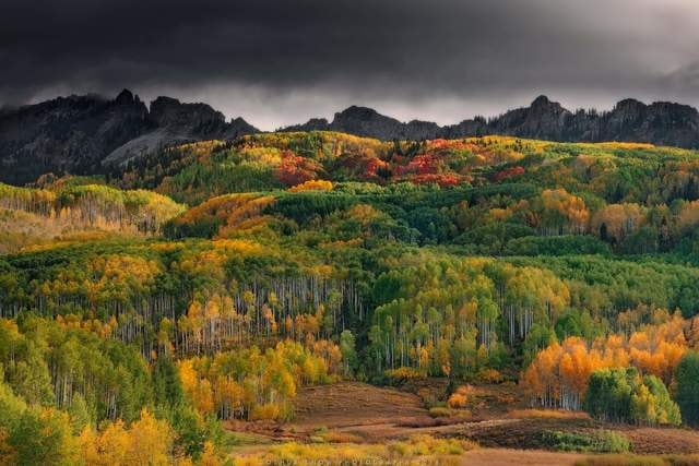 nature-leaf-mountain-sky-landscape 图片素材