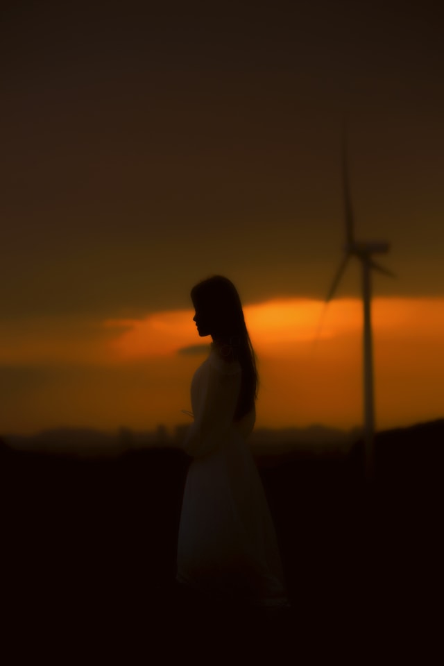 silhouette-sunset-sky-sun-evening 图片素材