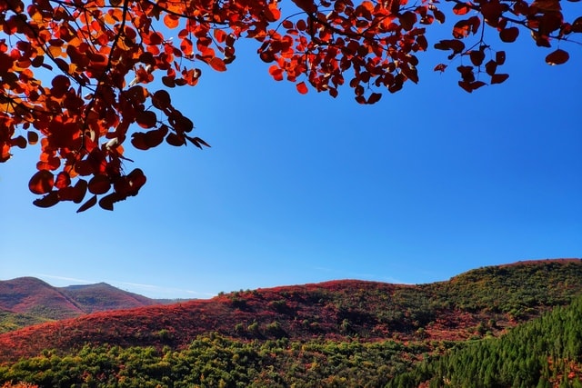 autumn-color 图片素材