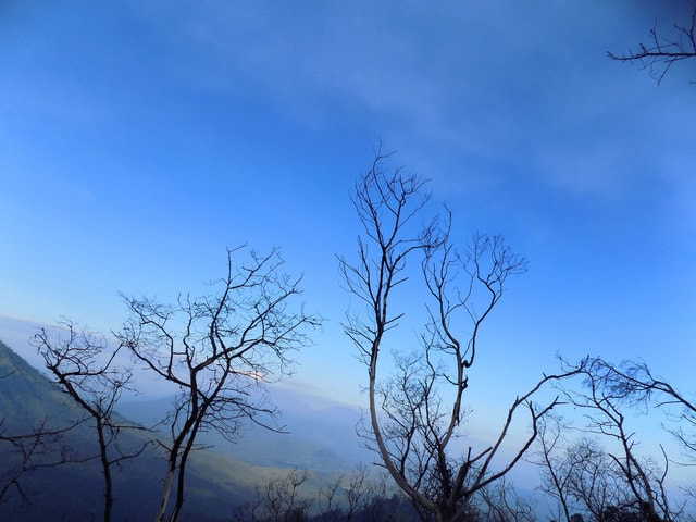 good-blue 图片素材