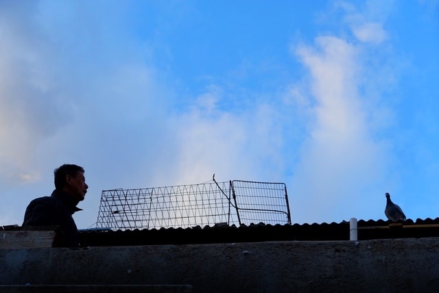 sky-energy-building-silhouette-cloud 图片素材