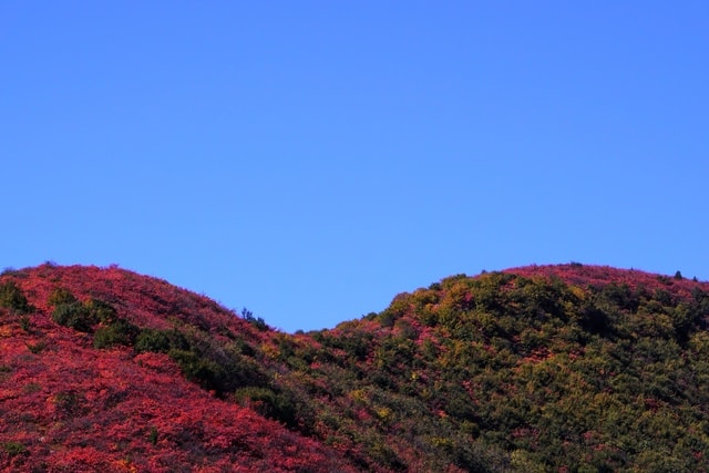autumn-color 图片素材