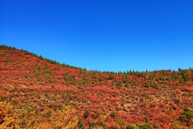 autumn-color 图片素材