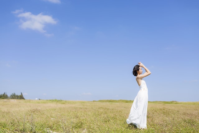 sky-field-grass-summer-landscape 图片素材