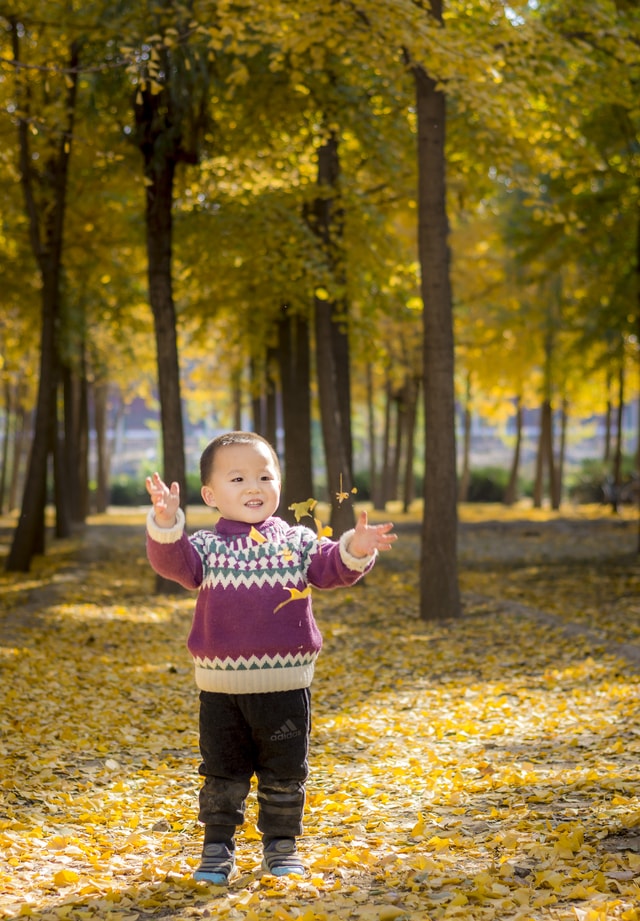 child-nature-leaf-tree-fun 图片素材