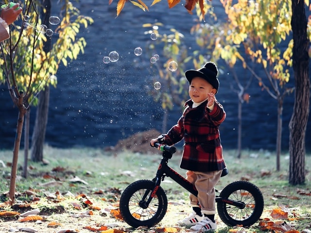 tree-leaf-child-fun-recreation 图片素材