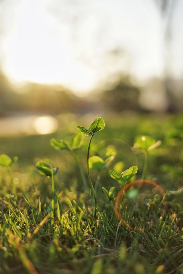 under-the-sun picture material