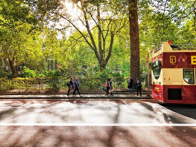 tree-nature-road-street-landscape 图片素材