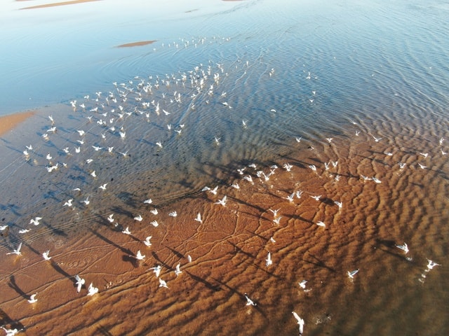 water-sea-sand-shore-sky 图片素材