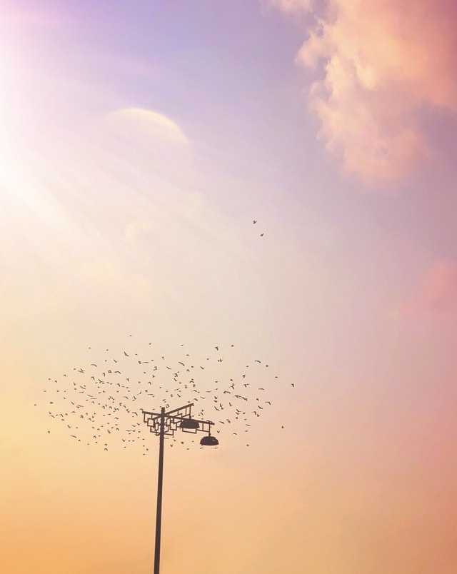 sky-dawn-evening-dusk-sun 图片素材