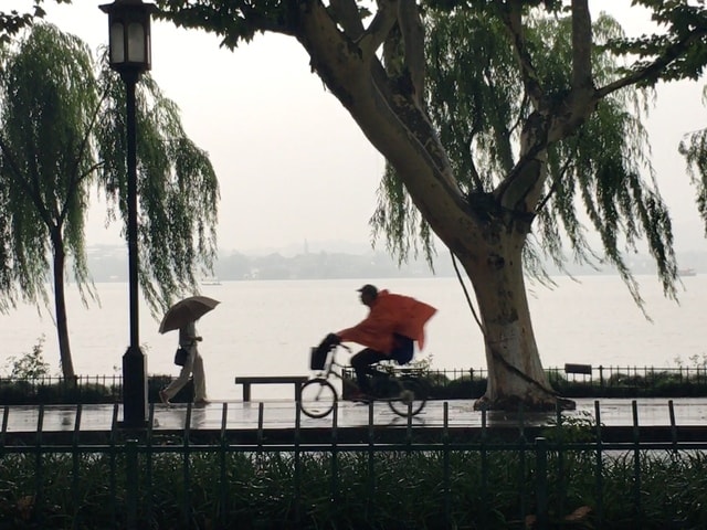 tree-water-recreation-sky-leisure 图片素材