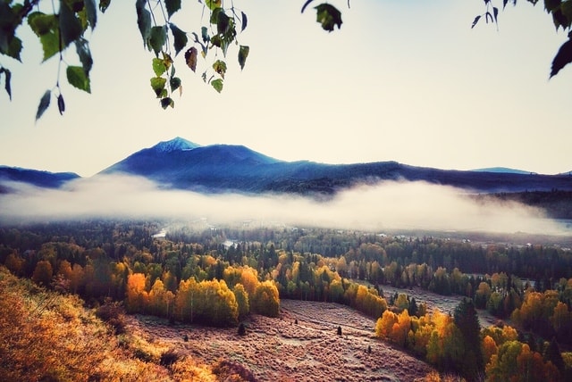 nature-sky-mountain-tree-leaf picture material