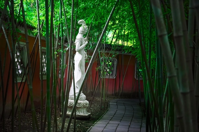 nature-tree-wood-no-person-green 图片素材