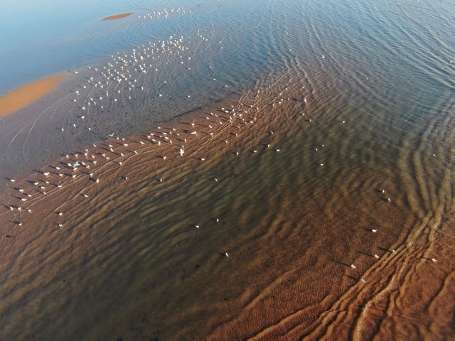 water-sand-sea-wave-ocean 图片素材