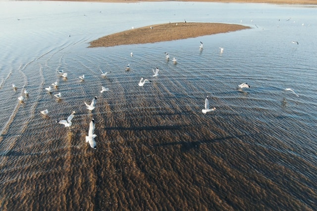 sea-water-no-person-beach-seashore 图片素材