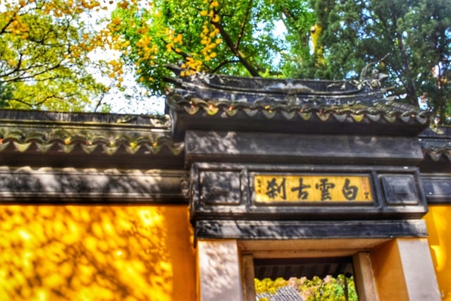 temple-tree-building-wood-outdoors 图片素材